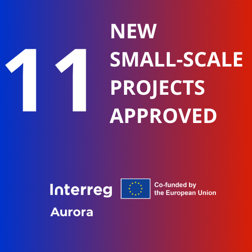 11 new smale-scale projects approved by the Interreg Aurora Programme
