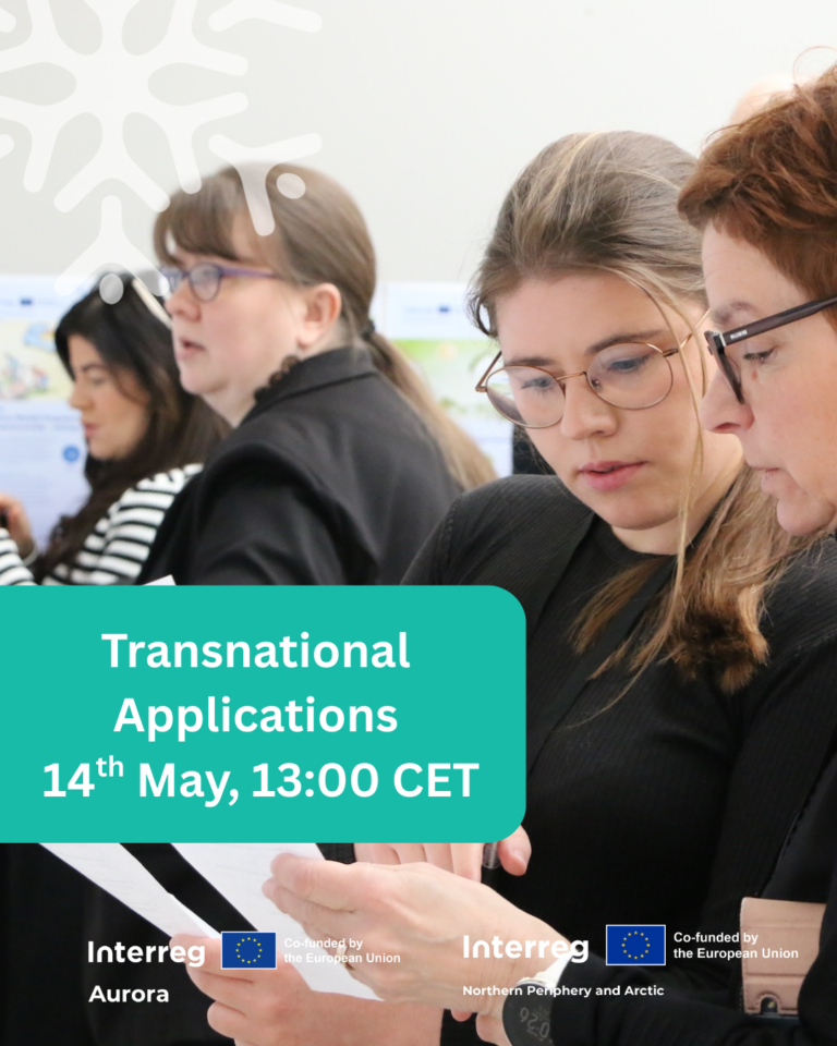 Interreg Arctic Cooperation, Interreg NPA transnational cluster call – Webinar 14 May 2025