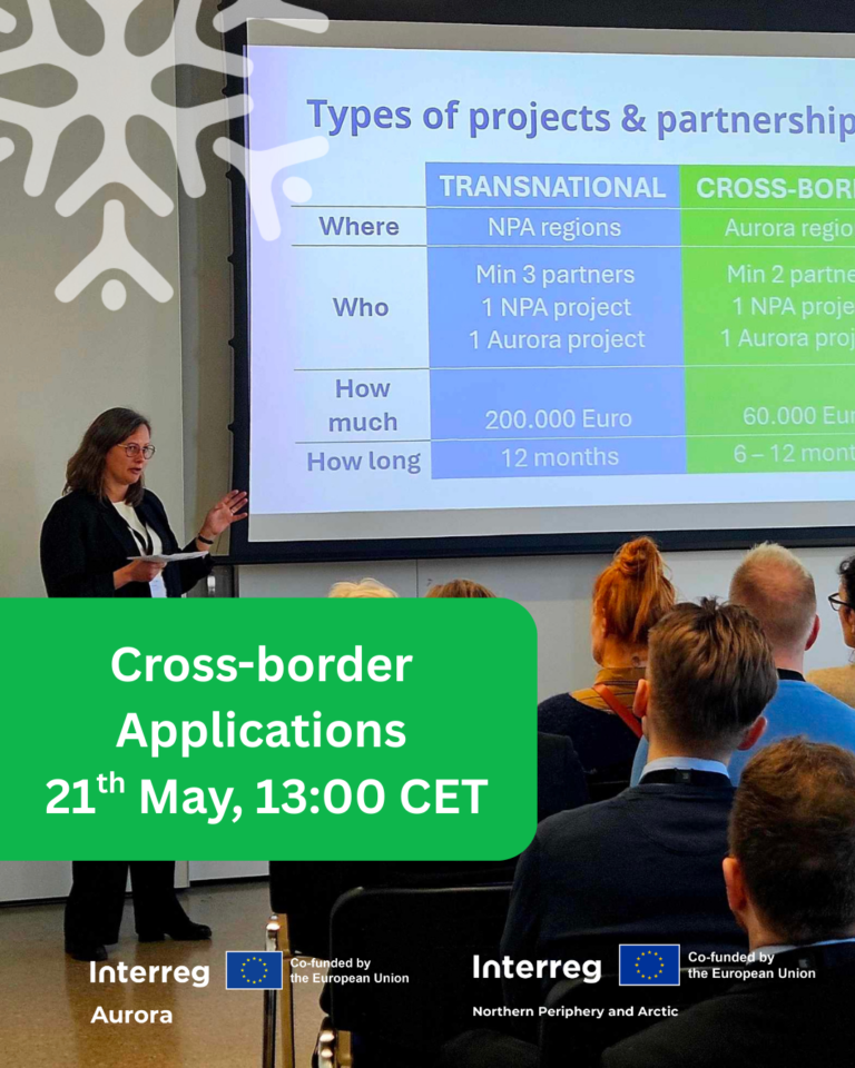 Interreg Arctic Cooperation, Interreg Aurora cross-border cluster call - webinar 21 May 2025