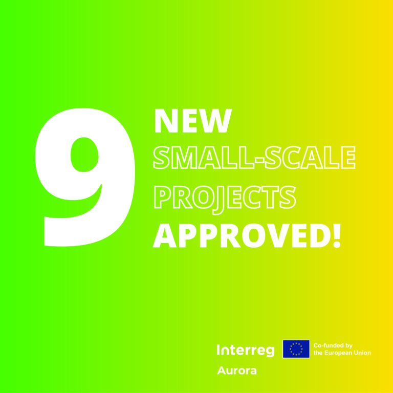 New small-scale projects receive Interreg Aurora funding
