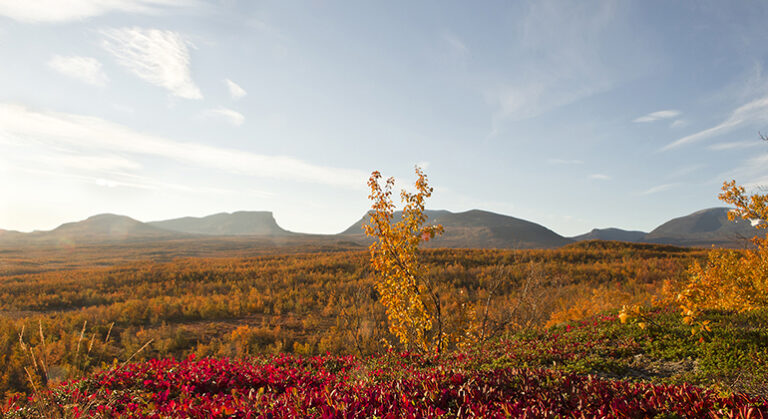 Abisko. Photo: Länsstyrelsen Norrbotten/Jan-Erik Nilsson