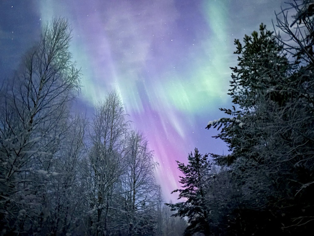 Partner search: Practical AI for Aurora SMEs project