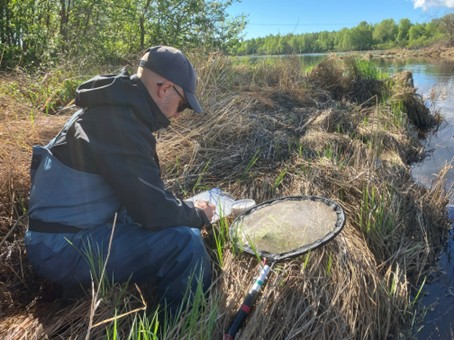 Environmental features are also recorded at each sampling site. 