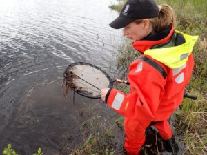 HIDDEN - beetles, dragonfly larvae, snails, tadpoles and worms 