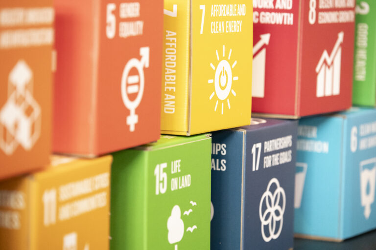 Sustainable Development Goals