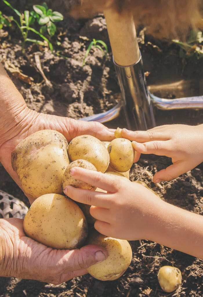 Food education for the future