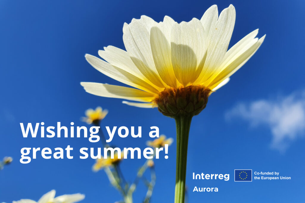 Summer Greetings from Interreg Aurora