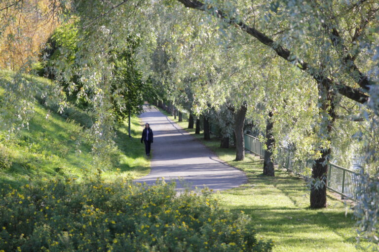 Sustainable and healthy Nordic cities for the future