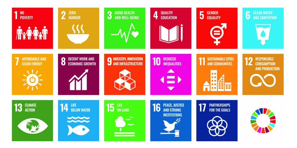 The Sustainable development goals