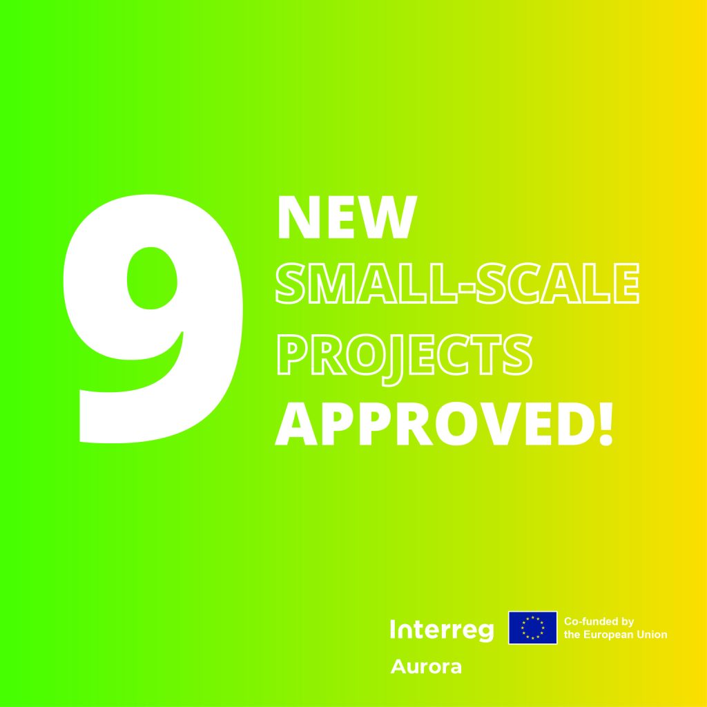 New small-scale projects receive Interreg Aurora funding