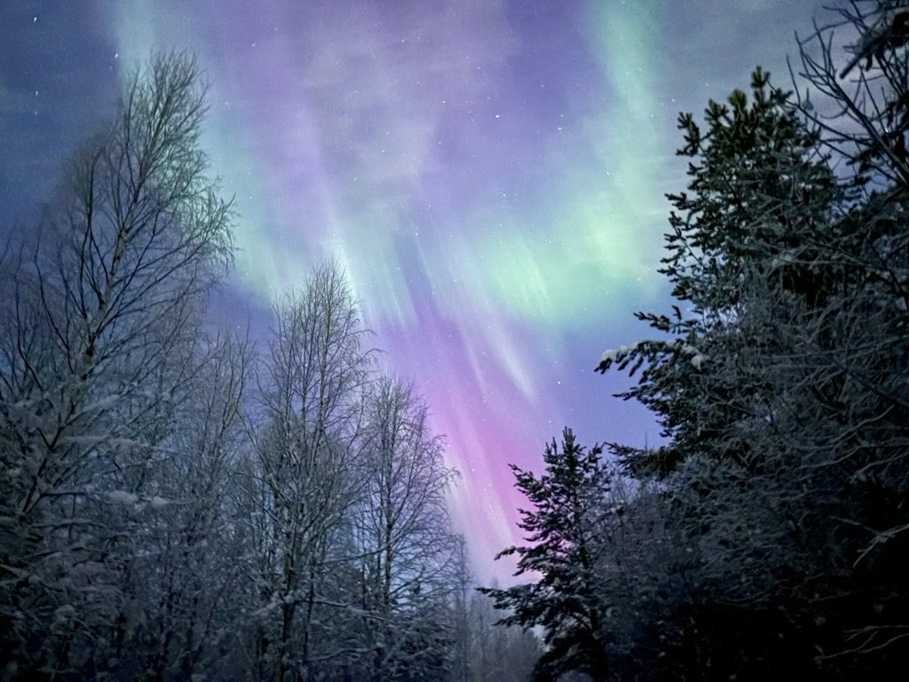 Partner search: Practical AI for Aurora SMEs project