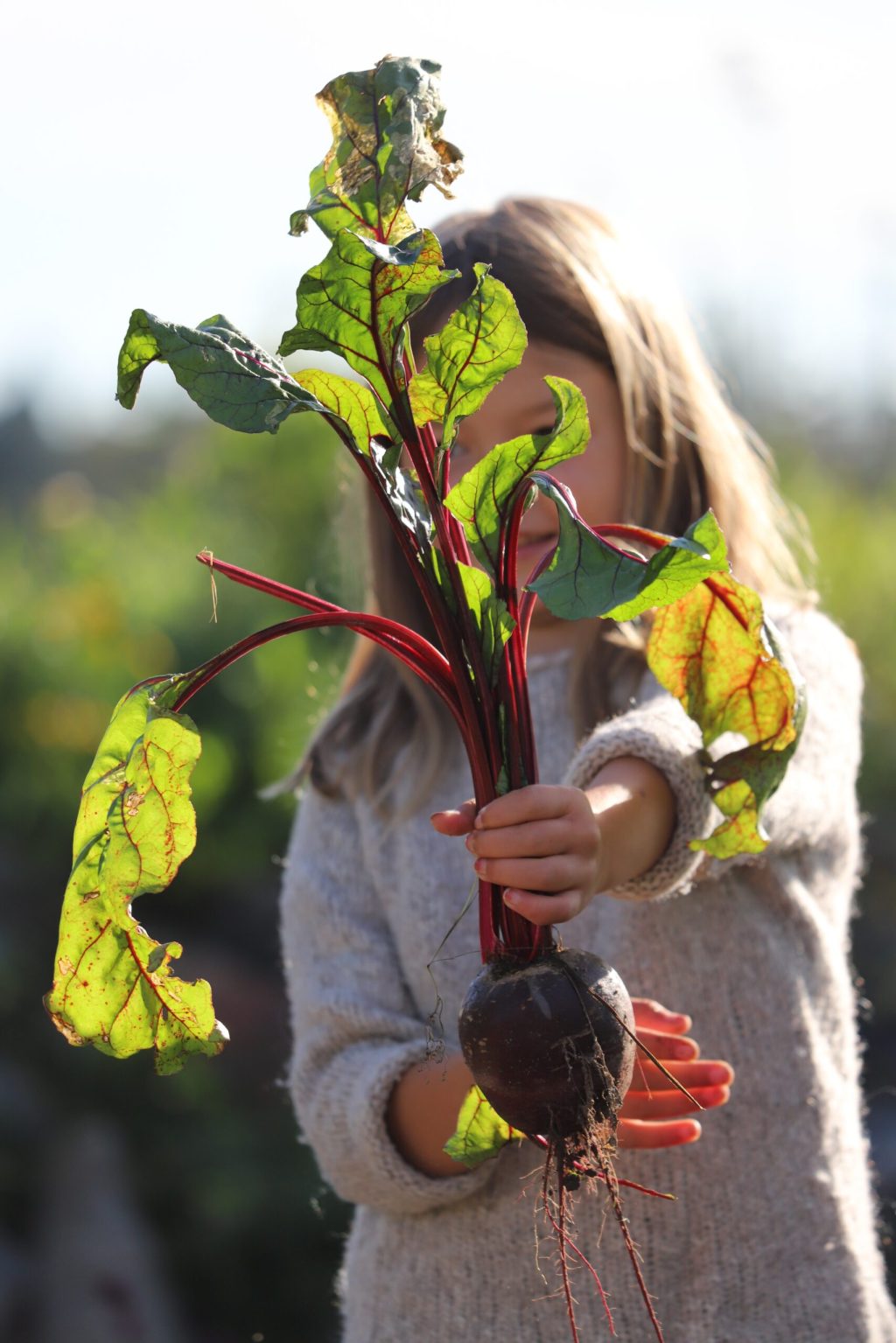Inbjudan till slutseminarium Food for future