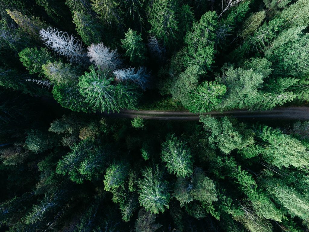 Roadshow on digitalization and new technology in forestry